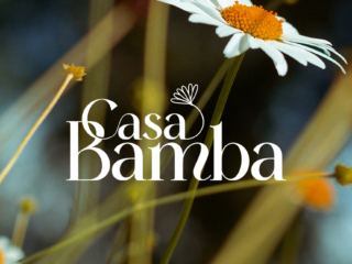 Casa Bamba